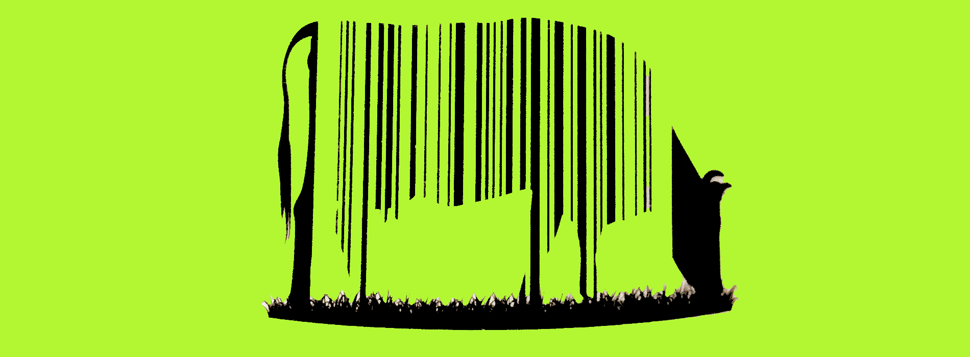 GRass-fed cow logo