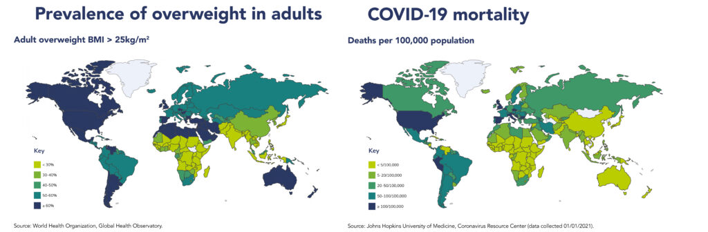 obesity and covid death rate